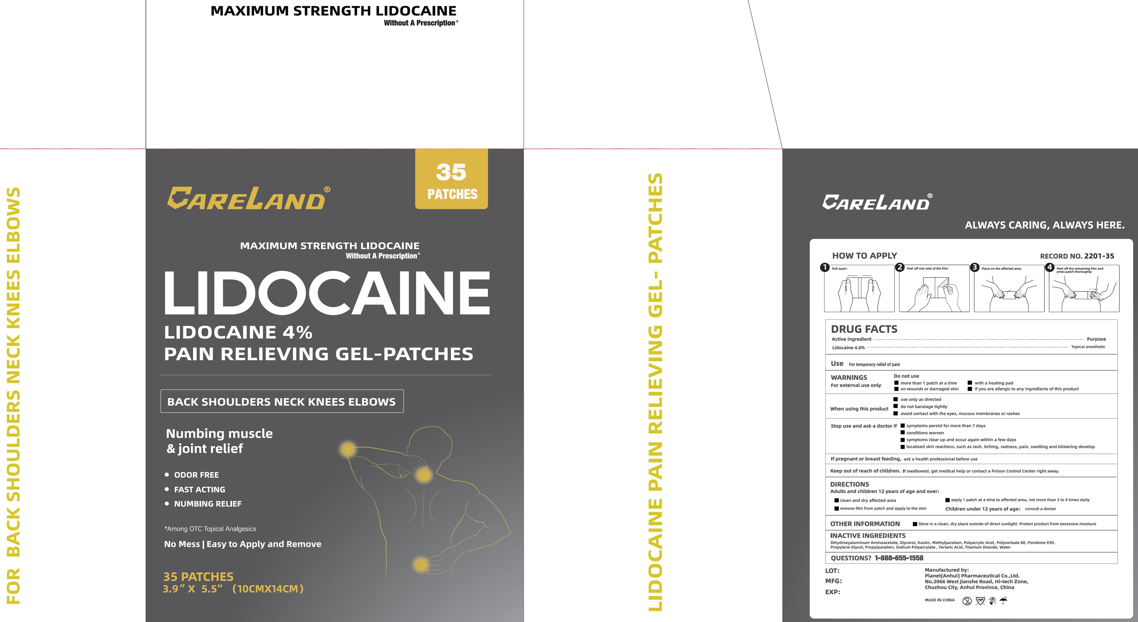 CARELAND — CARELAND 4% Lidocaine Gel Patch, 6 Count — Maximum Strength Pain Relief Patches for Neck, Knee, Back and Shoulders
